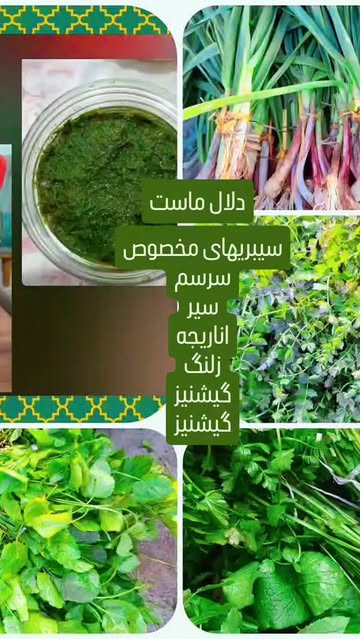 باسبزی معطر سرسم،زلنگ،اناریجه،سیر خشک،تره و...