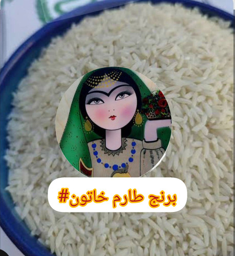 برنج طارم اصل از شالیزارهای بابلسر